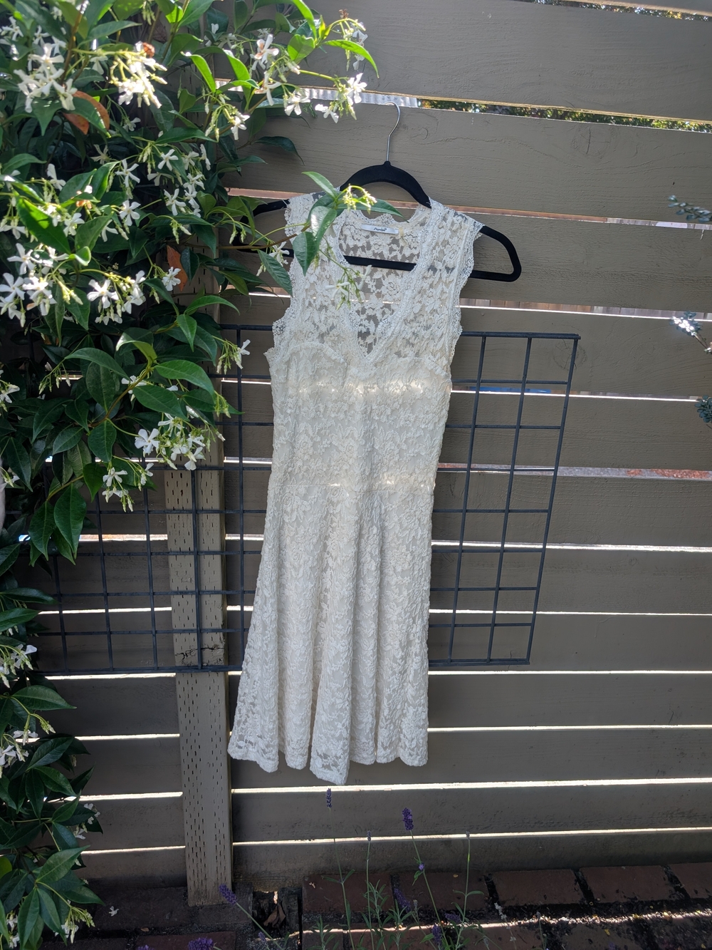 Papaya Cream Lace Midi Dress with V-Neck